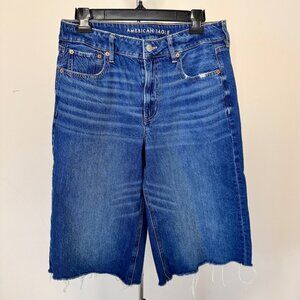 AE Strigid Super High-Waisted Baggy Wide-Leg Ankle Crop Jean Denim Blue Sz 10
